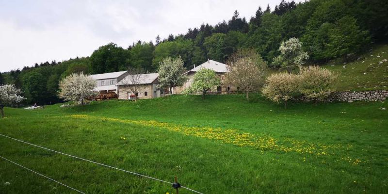 Klikni za ogled večje slike