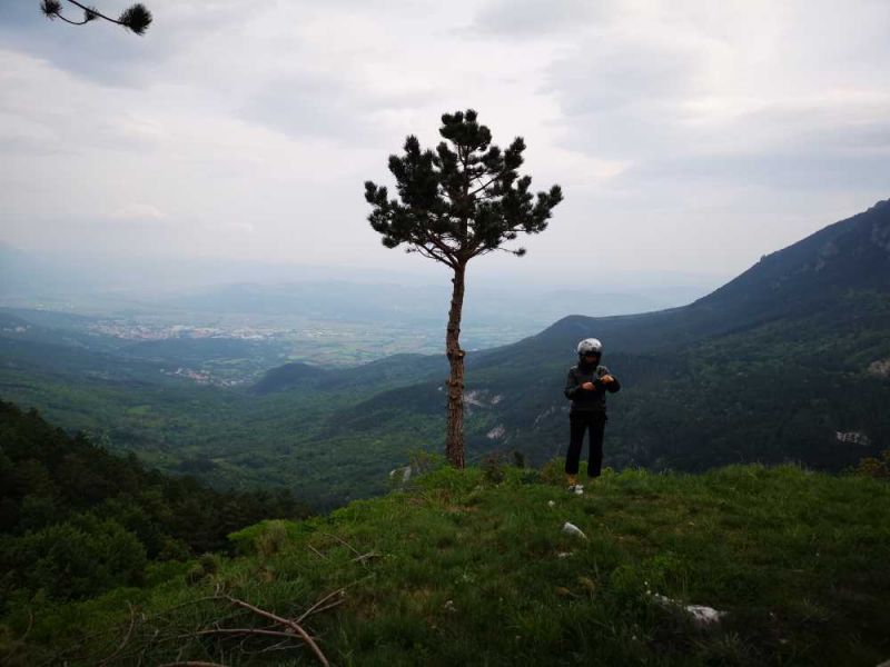 Klikni za ogled večje slike