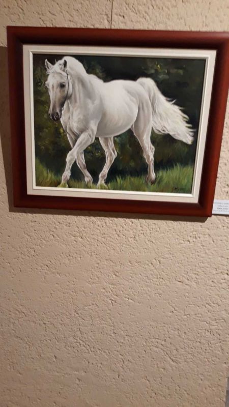 Klikni za ogled večje slike