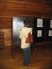 Picture_366.jpg