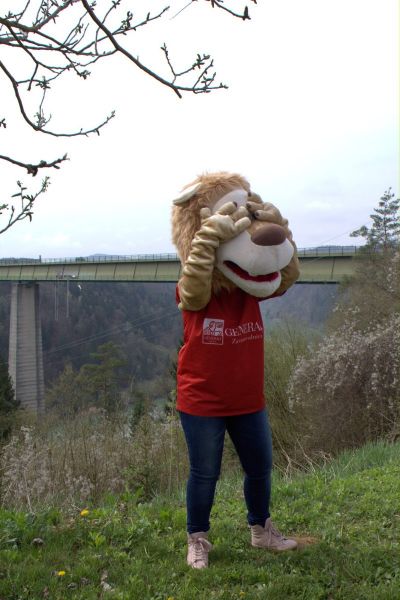 Klikni za ogled večje slike