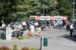 IMG_0428.jpg
