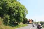IMG_0455.jpg