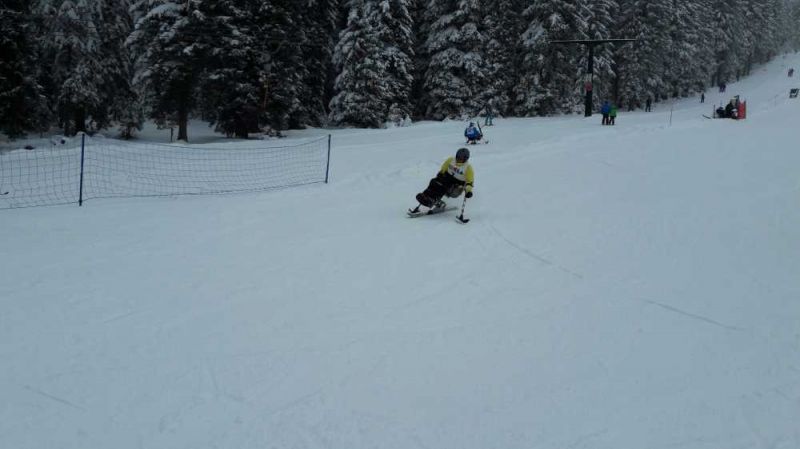 Klikni za ogled večje slike