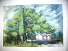 DSCF0673.jpg