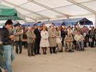 Festival_2008_037.jpg